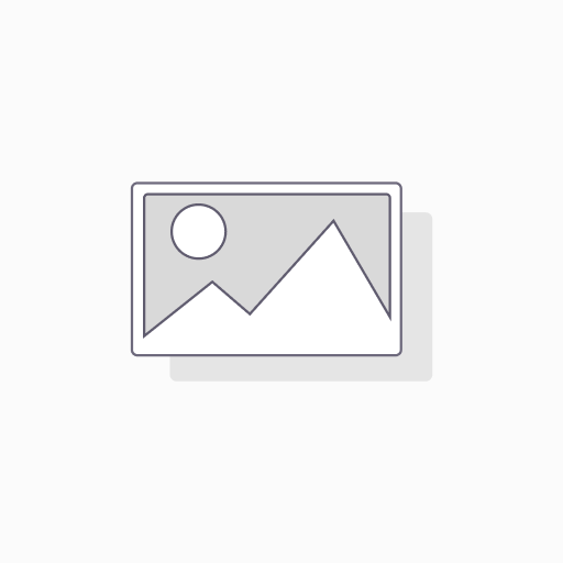 CARBURADOR PARA MOTO 150